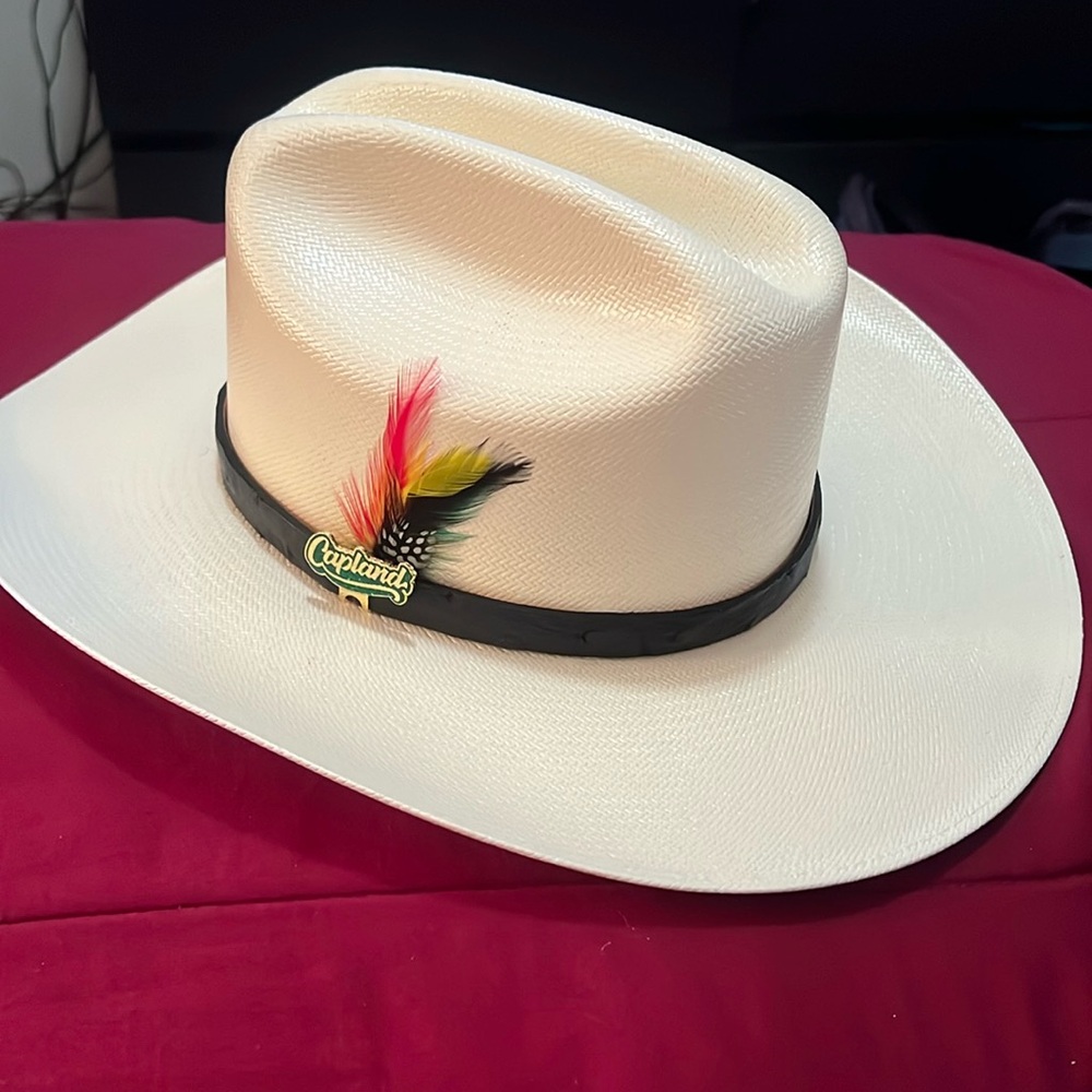 Stone cowboy hat